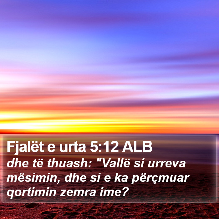 Fjalët e urta 5:12 ALB Bible Study