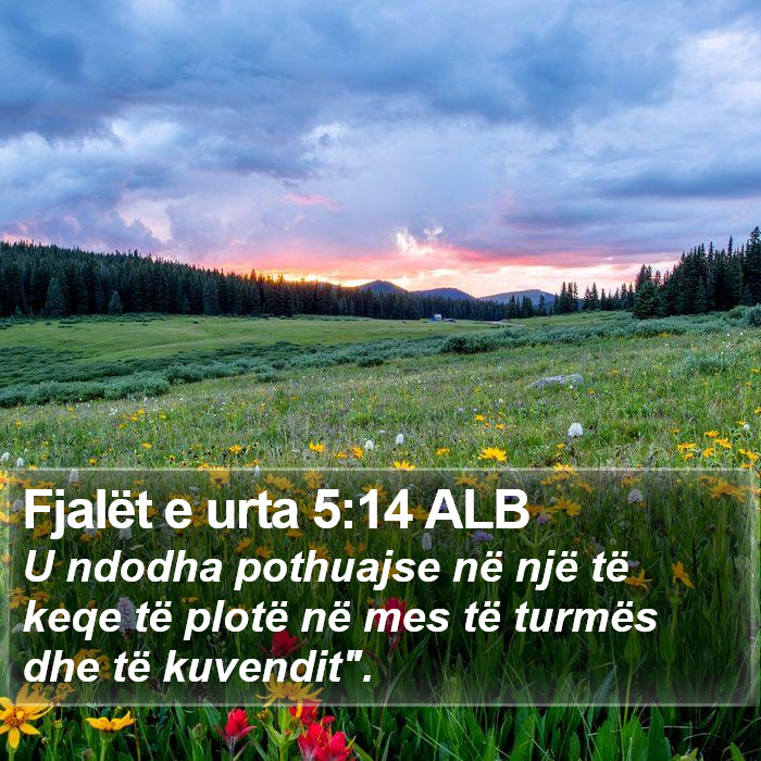 Fjalët e urta 5:14 ALB Bible Study
