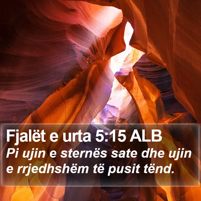 Fjalët e urta 5:15 ALB Bible Study