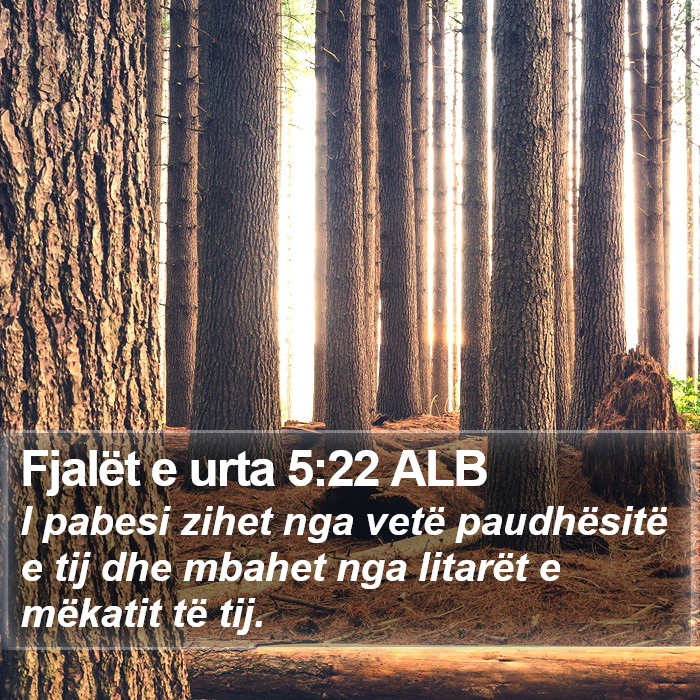 Fjalët e urta 5:22 ALB Bible Study