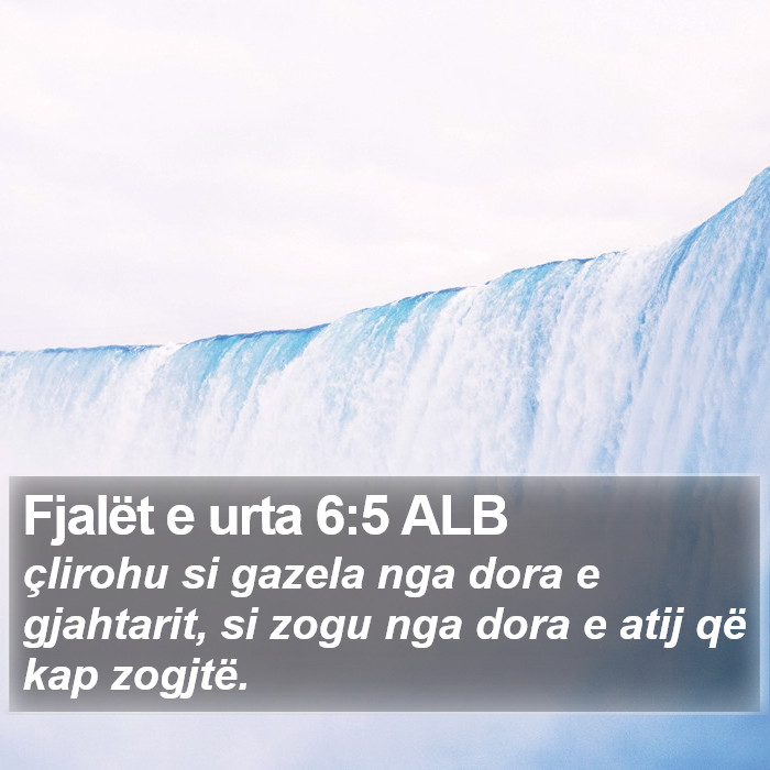 Fjalët e urta 6:5 ALB Bible Study