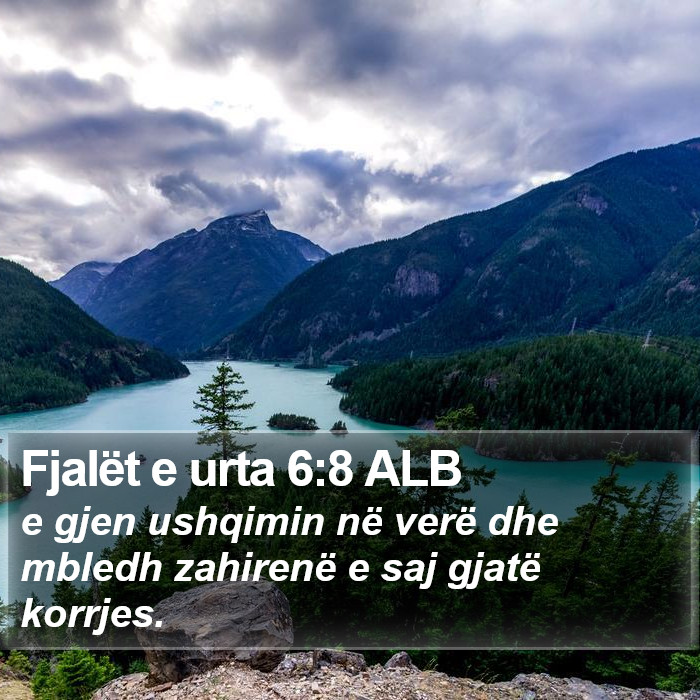 Fjalët e urta 6:8 ALB Bible Study
