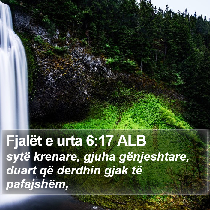 Fjalët e urta 6:17 ALB Bible Study