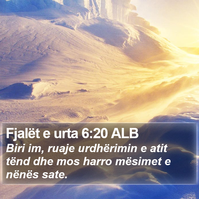 Fjalët e urta 6:20 ALB Bible Study