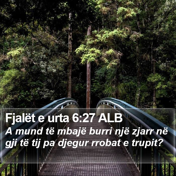 Fjalët e urta 6:27 ALB Bible Study