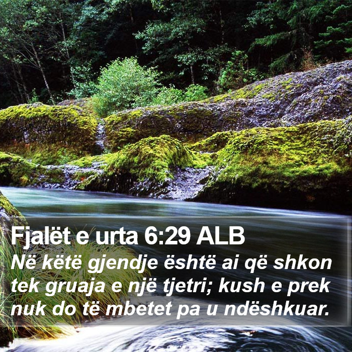 Fjalët e urta 6:29 ALB Bible Study