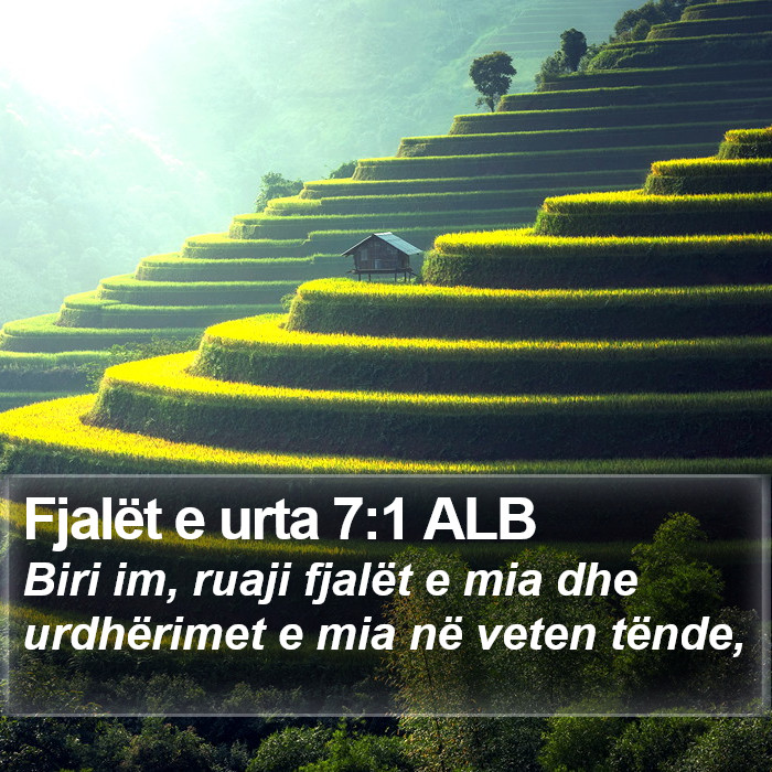 Fjalët e urta 7:1 ALB Bible Study