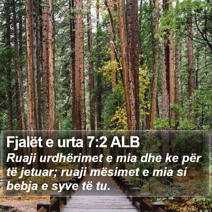 Fjalët e urta 7:2 ALB Bible Study