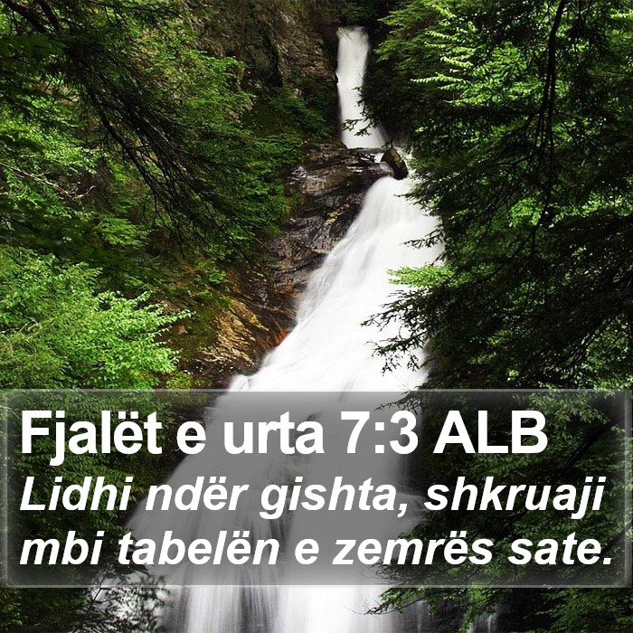 Fjalët e urta 7:3 ALB Bible Study