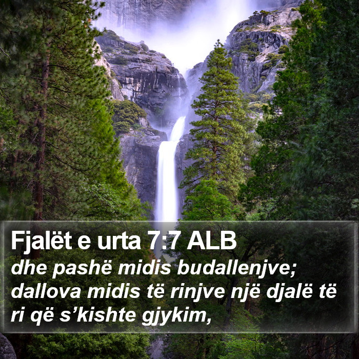 Fjalët e urta 7:7 ALB Bible Study