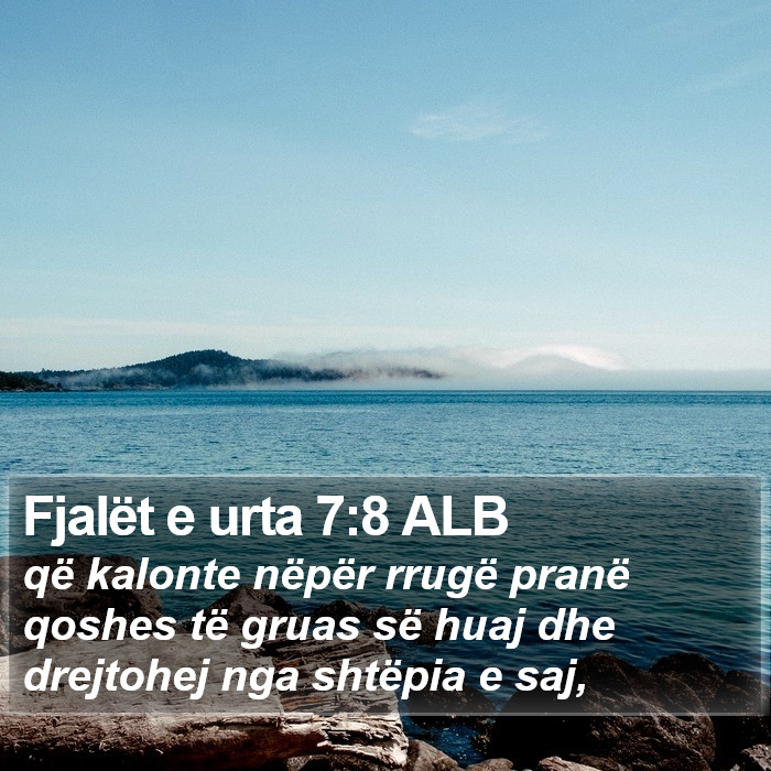 Fjalët e urta 7:8 ALB Bible Study