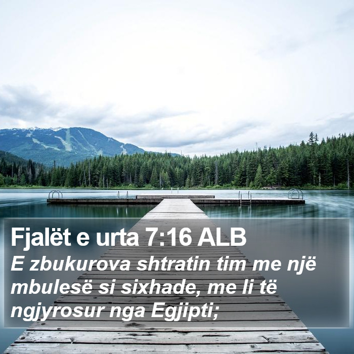 Fjalët e urta 7:16 ALB Bible Study