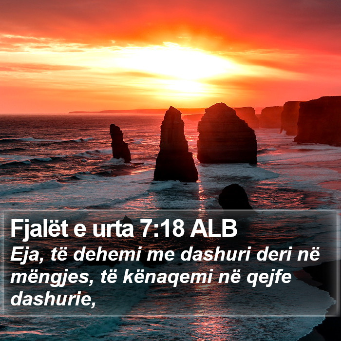 Fjalët e urta 7:18 ALB Bible Study