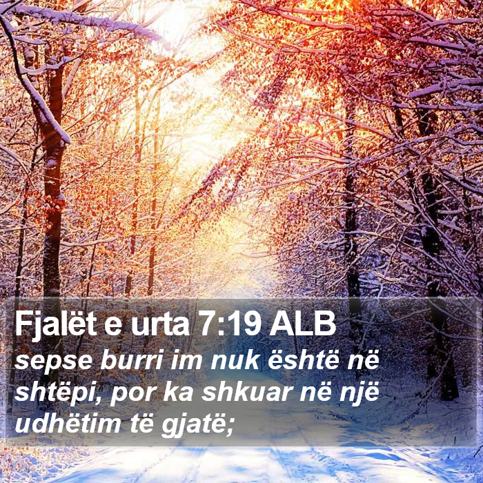 Fjalët e urta 7:19 ALB Bible Study