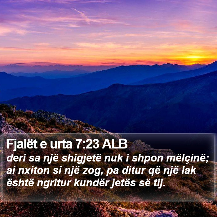 Fjalët e urta 7:23 ALB Bible Study