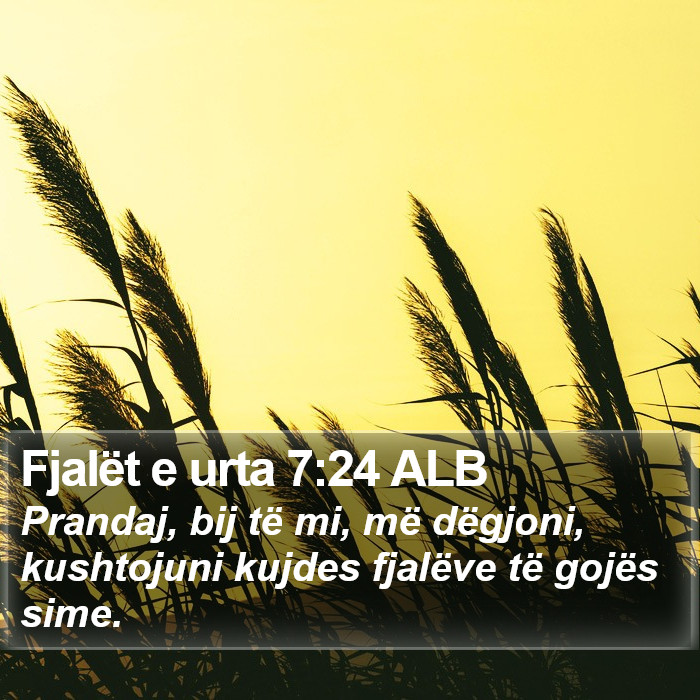 Fjalët e urta 7:24 ALB Bible Study