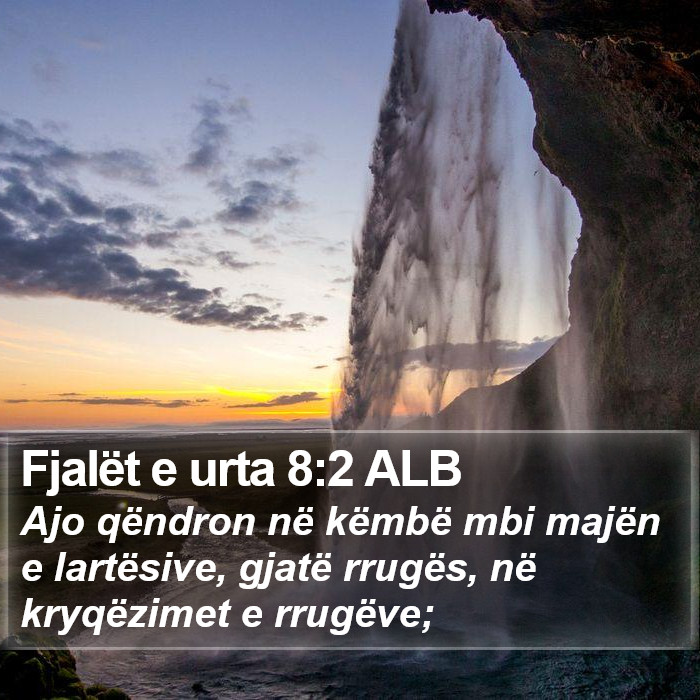 Fjalët e urta 8:2 ALB Bible Study