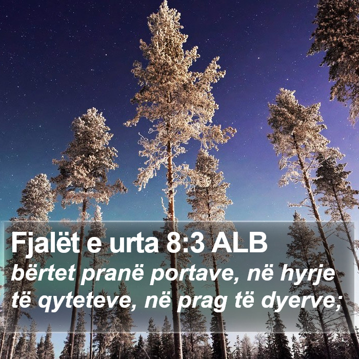 Fjalët e urta 8:3 ALB Bible Study