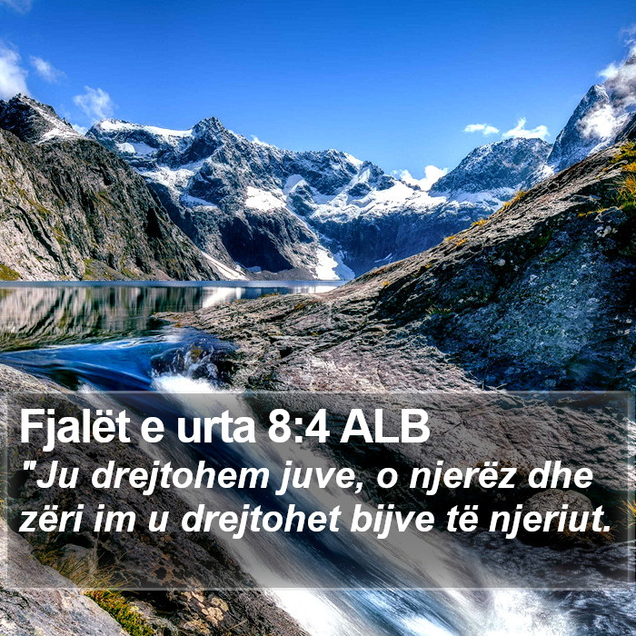 Fjalët e urta 8:4 ALB Bible Study