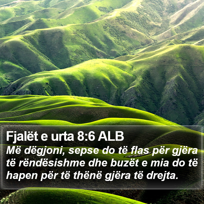 Fjalët e urta 8:6 ALB Bible Study