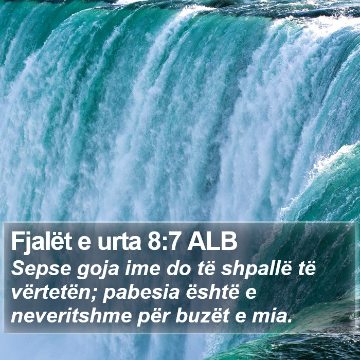 Fjalët e urta 8:7 ALB Bible Study