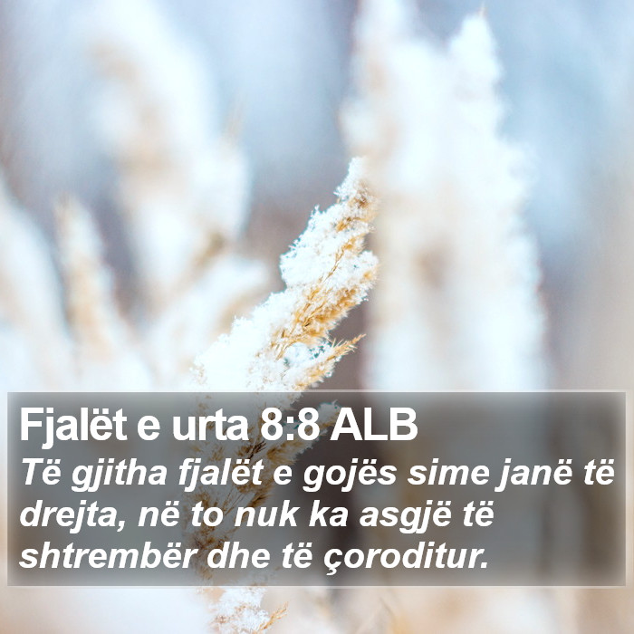 Fjalët e urta 8:8 ALB Bible Study