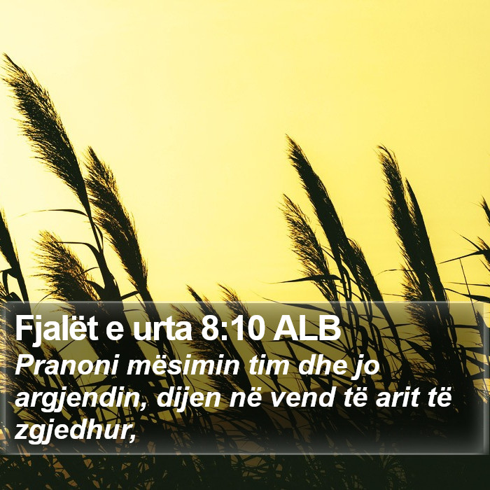 Fjalët e urta 8:10 ALB Bible Study