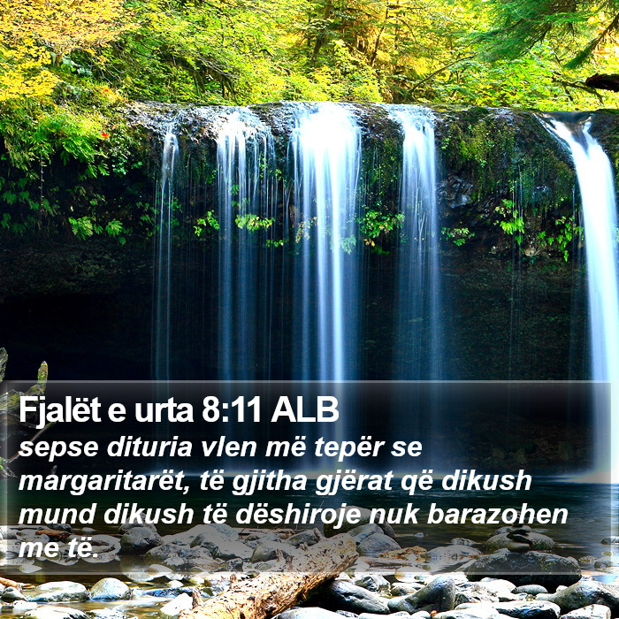 Fjalët e urta 8:11 ALB Bible Study