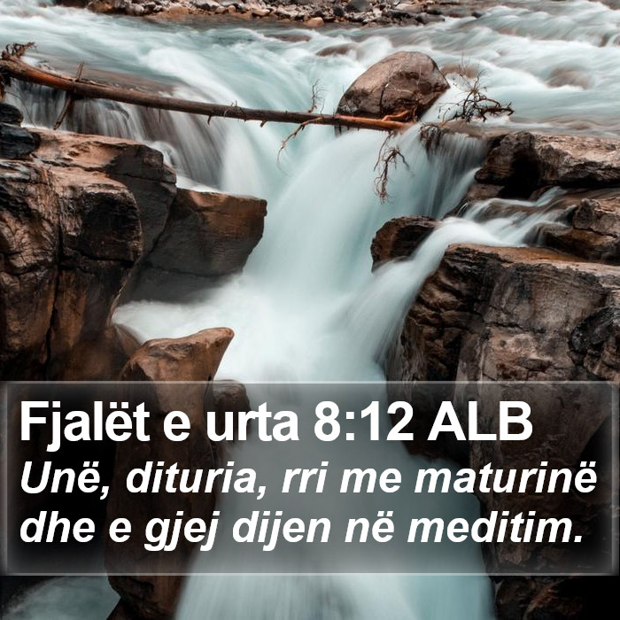 Fjalët e urta 8:12 ALB Bible Study