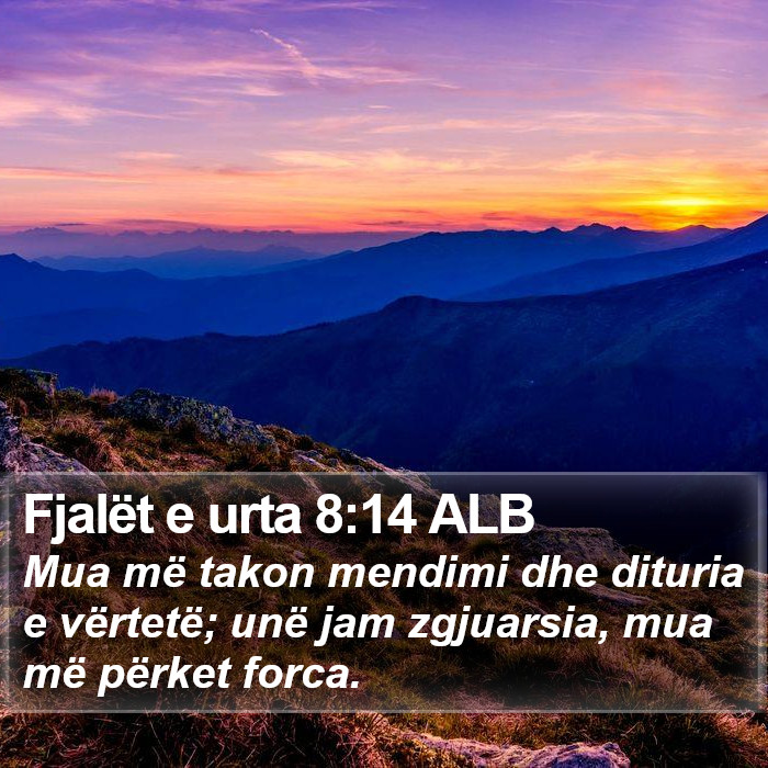 Fjalët e urta 8:14 ALB Bible Study