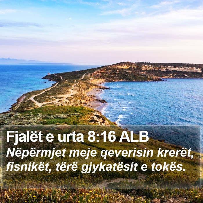 Fjalët e urta 8:16 ALB Bible Study