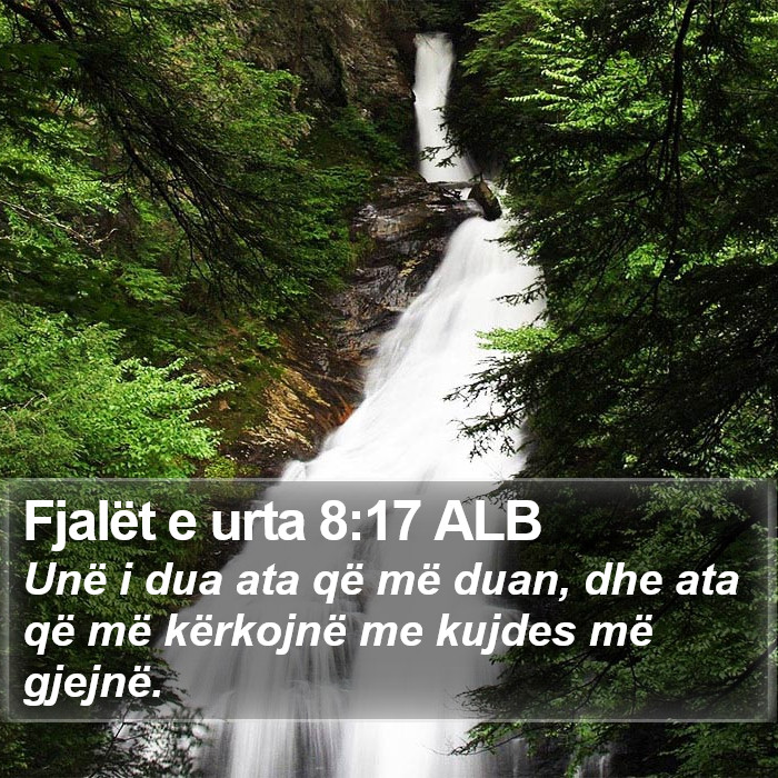 Fjalët e urta 8:17 ALB Bible Study