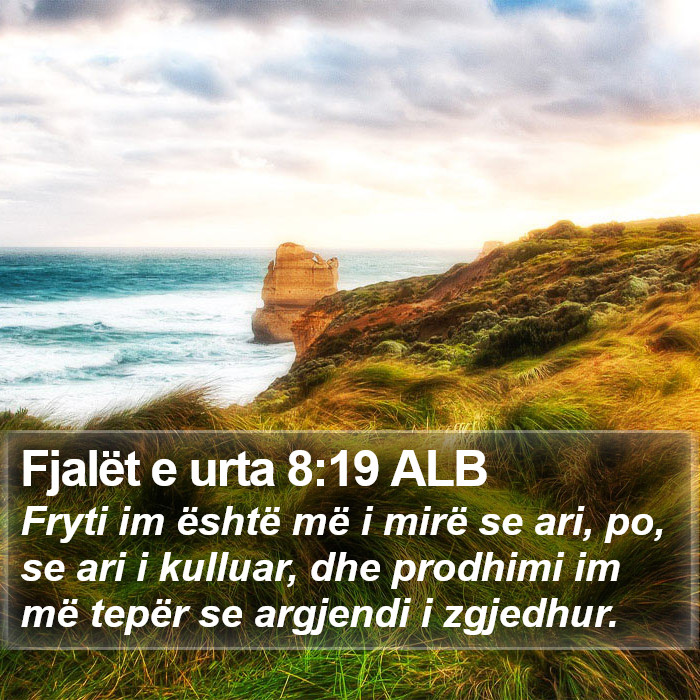 Fjalët e urta 8:19 ALB Bible Study