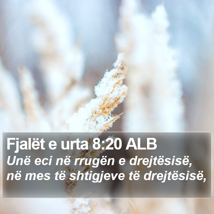 Fjalët e urta 8:20 ALB Bible Study