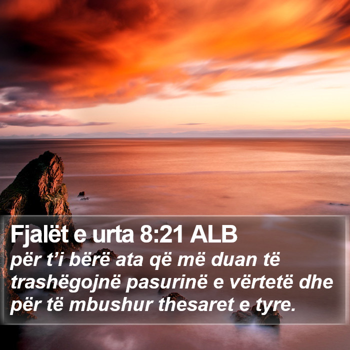 Fjalët e urta 8:21 ALB Bible Study