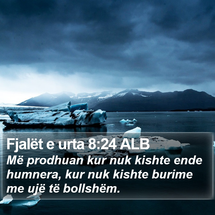 Fjalët e urta 8:24 ALB Bible Study