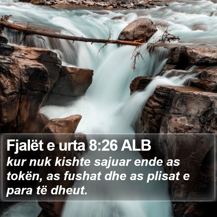 Fjalët e urta 8:26 ALB Bible Study