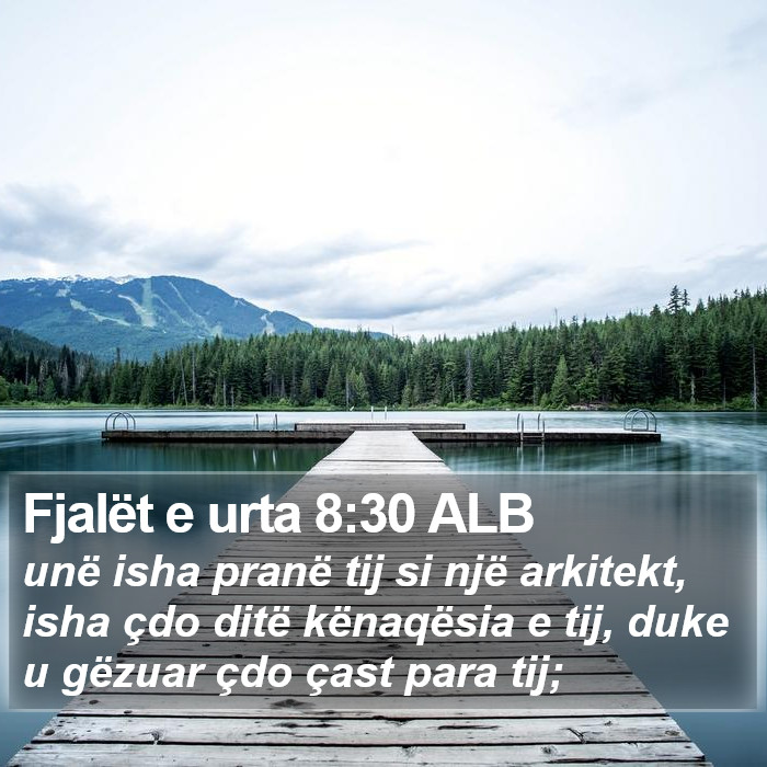 Fjalët e urta 8:30 ALB Bible Study