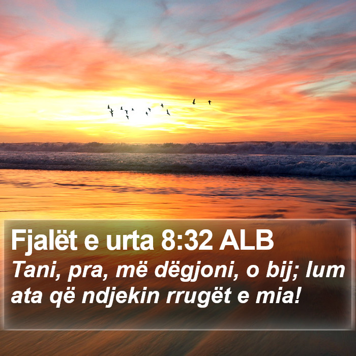 Fjalët e urta 8:32 ALB Bible Study