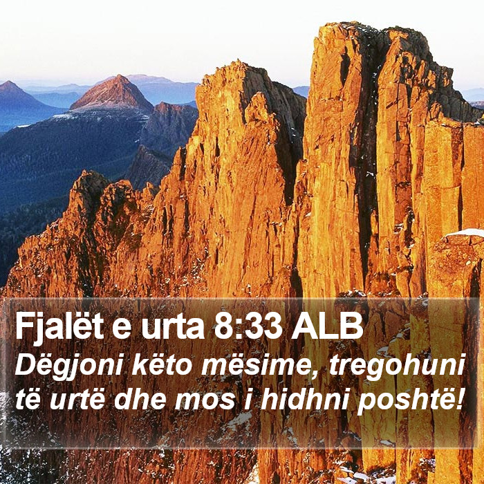 Fjalët e urta 8:33 ALB Bible Study