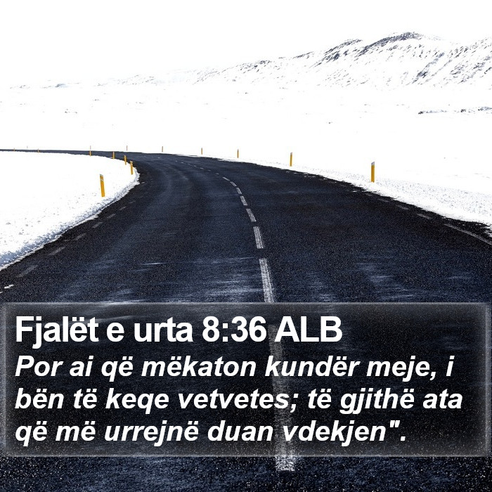 Fjalët e urta 8:36 ALB Bible Study