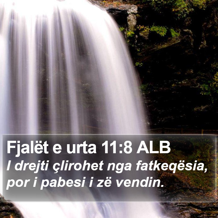 Fjalët e urta 11:8 ALB Bible Study
