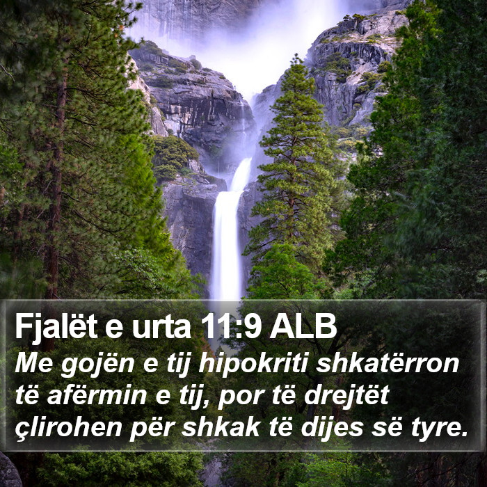 Fjalët e urta 11:9 ALB Bible Study