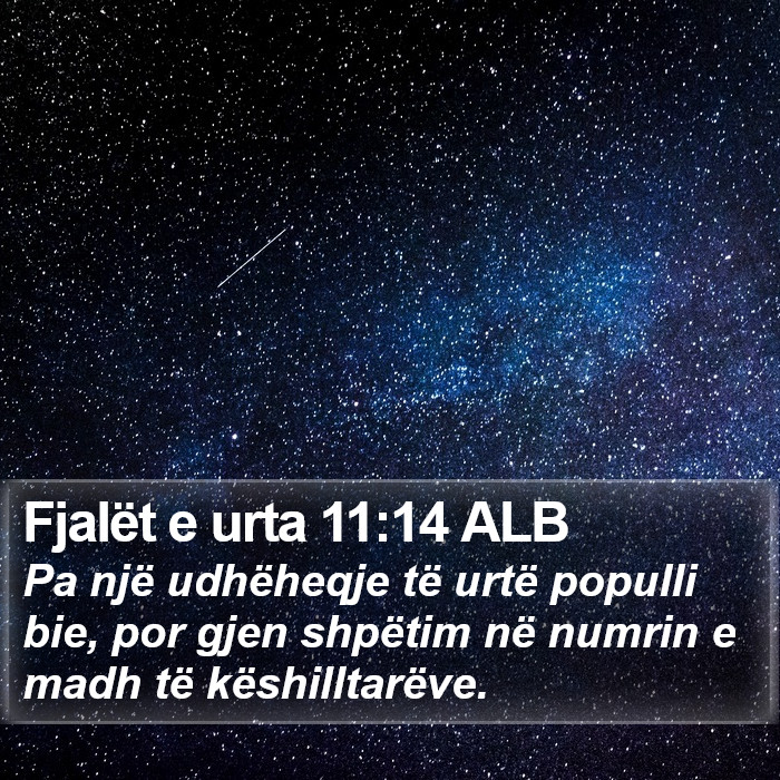 Fjalët e urta 11:14 ALB Bible Study