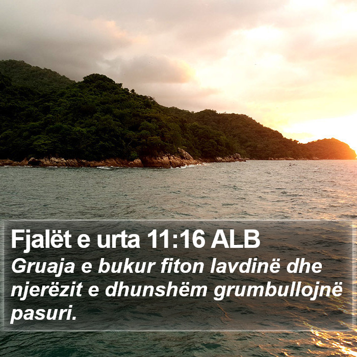 Fjalët e urta 11:16 ALB Bible Study