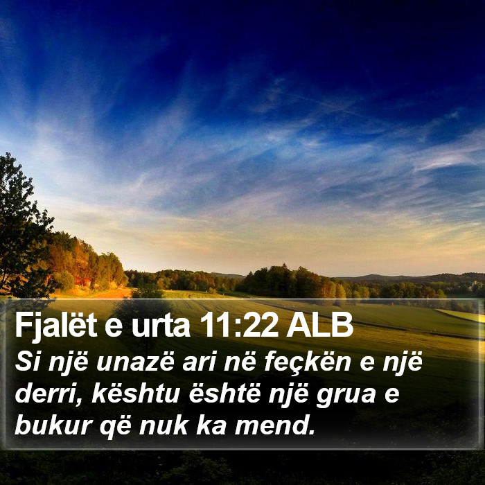 Fjalët e urta 11:22 ALB Bible Study