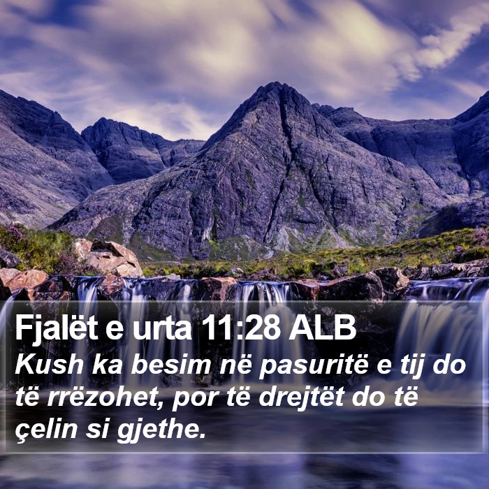 Fjalët e urta 11:28 ALB Bible Study
