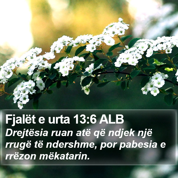 Fjalët e urta 13:6 ALB Bible Study