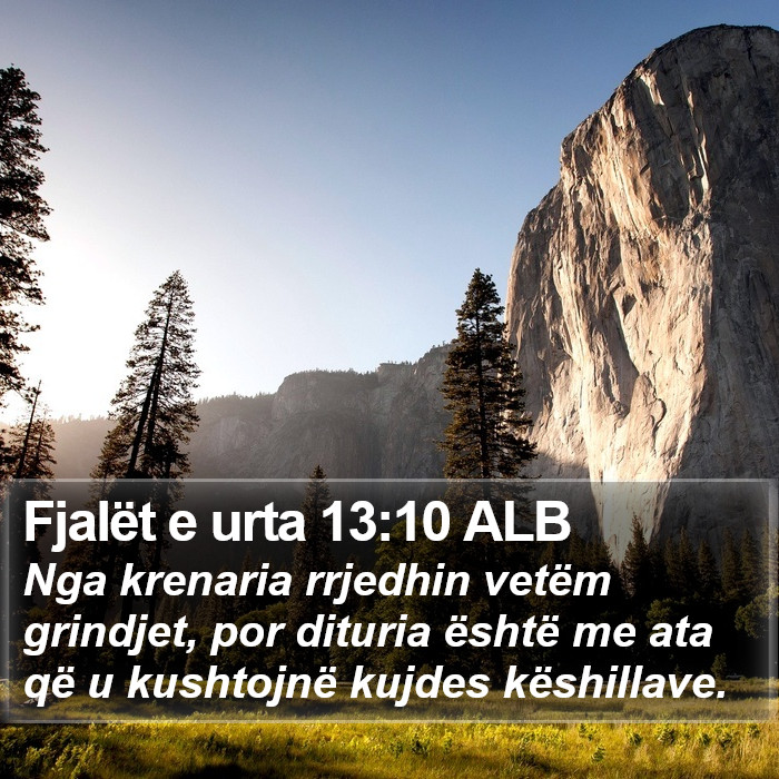 Fjalët e urta 13:10 ALB Bible Study