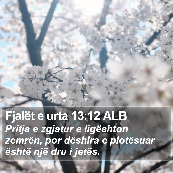 Fjalët e urta 13:12 ALB Bible Study